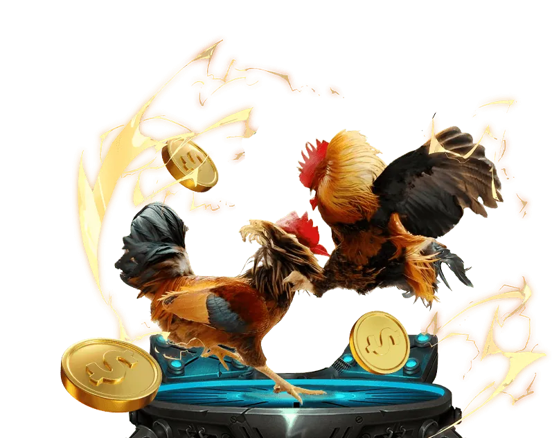 Giao diện đặt cược đá gà trực tuyến của oke179 win